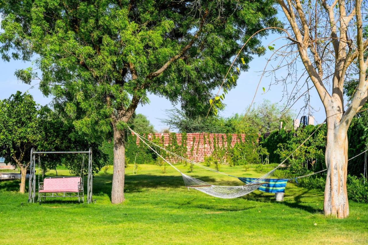 Holiday Farm Jodhpur جودبور المظهر الخارجي الصورة